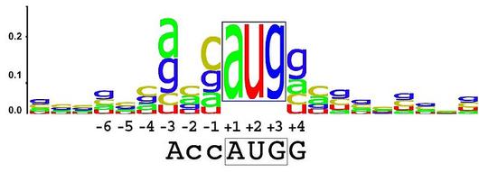 http://en.wikipedia.org/wiki/File:KozakConsensus.jpg Sequence logo example