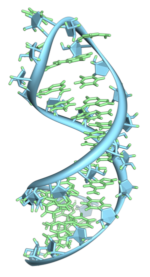 http://en.wikipedia.org/wiki/File:Pre-mRNA-1ysv.png-tubes.png Tertiary Structure