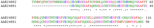http://en.wikipedia.org/wiki/File:Zinc-finger-seq-alignment2.png Alignment