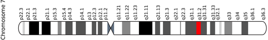 http://en.wikipedia.org/wiki/File:CFTR_gene_on_chromosome_7.svg #