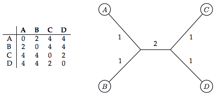Taken from Jones & Pevzner, An Introduction to Bioinformatics Algorithms Distance-Based Phylogeny