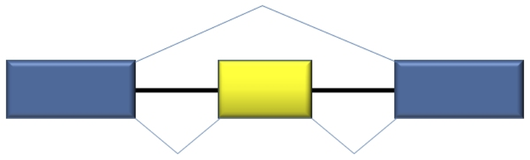 Adapted from http://en.wikipedia.org/wiki/File:Alt_splicing_bestiary2.jpg Exon Skipping