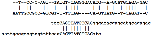 Adapted from Jones & Pevzner, An Introduction to Bioinformatics Algorithms Local Alignment