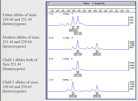 Courtesy BioScience Microsatellite inheritance