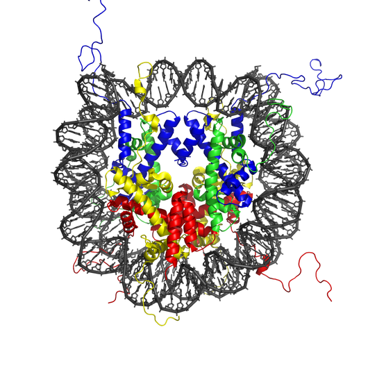 http://en.wikipedia.org/wiki/File:Nucleosome_1KX5_colour_coded.png Nucleosome