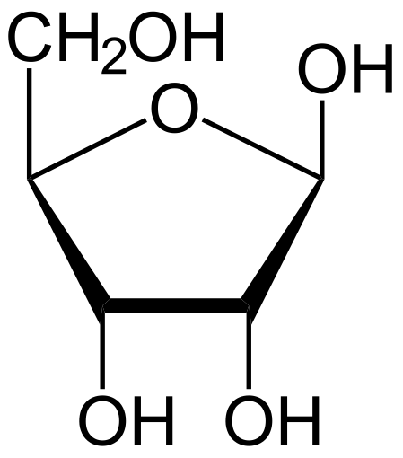 The chemical structure of ribose; http://en.wikipedia.org/wiki/File:Beta-D-Ribofuranose.svg Ribose